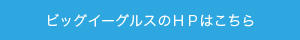 ビッグイーグルスのHPはこちら